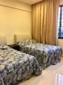 Botanic Gardens View (D10), Apartment #180387332